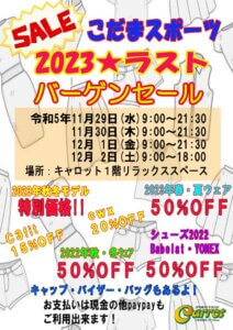 こだまスポーツ　2023年11月のサムネイル